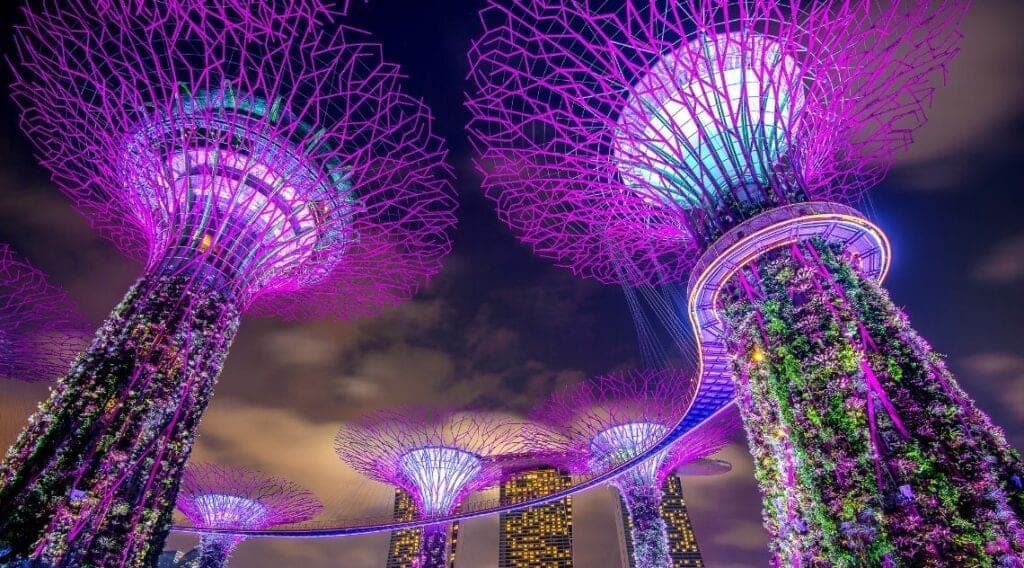 Sips & Secrets: Cracking Open Singapore's Gen Z Drinking Culture