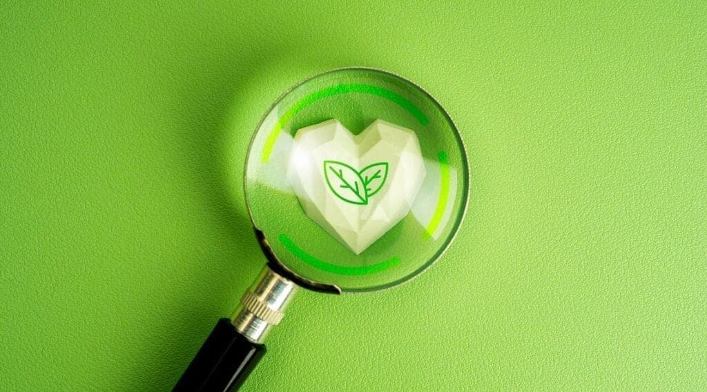 The Green Connection: Does Sustainability Drive Loyalty?