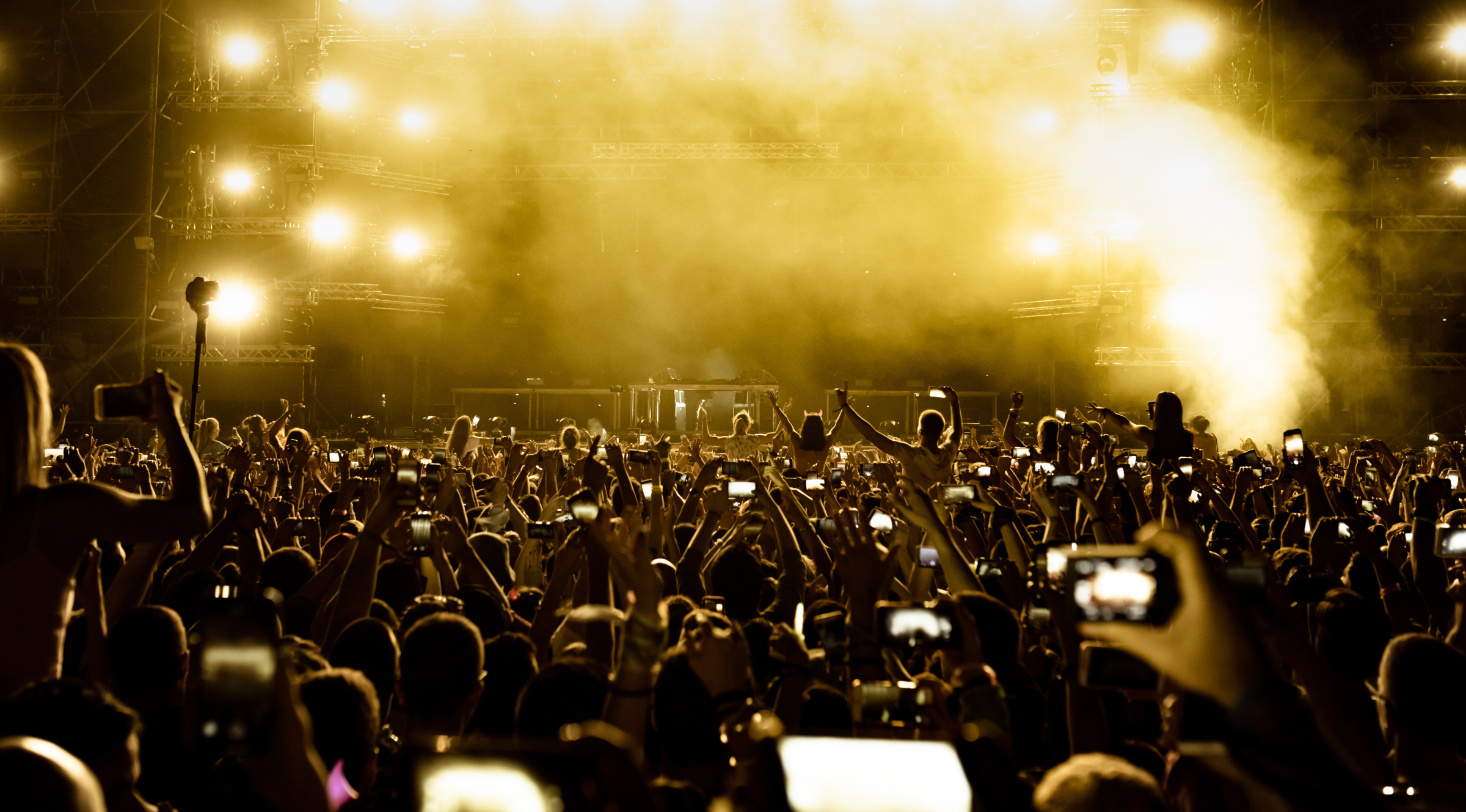Fans cheering at concert